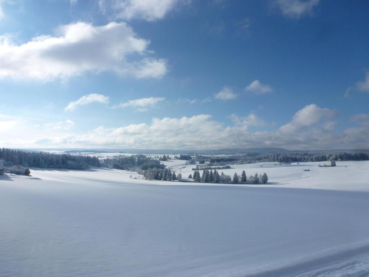 Holiday Home Bilharz By Interhome Dittishausen エクステリア 写真