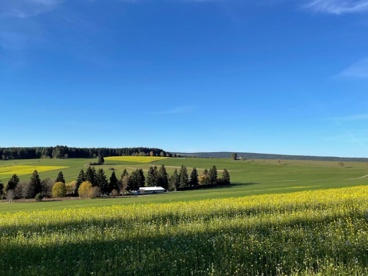 Holiday Home Bilharz By Interhome Dittishausen エクステリア 写真